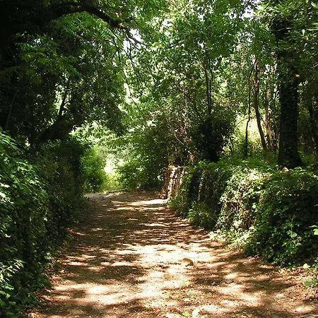 Mas De Grefeuille Dans Les Cevennes A Holiday home