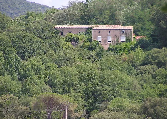 Mas De Grefeuille Dans Les Cevennes A Holiday home Monoblet
